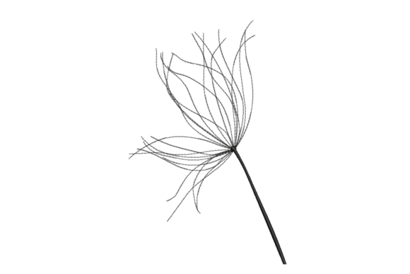 Dandelion Seed Head Embroidery Design: A Maker’s Review
